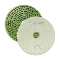 Алмазный Гибкий Шлифовальный Круг TECH-NICK GABBRO D100/№800 Алмазный Гибкий Шлифовальный Круг TECH-NICK GABBRO D100/№800